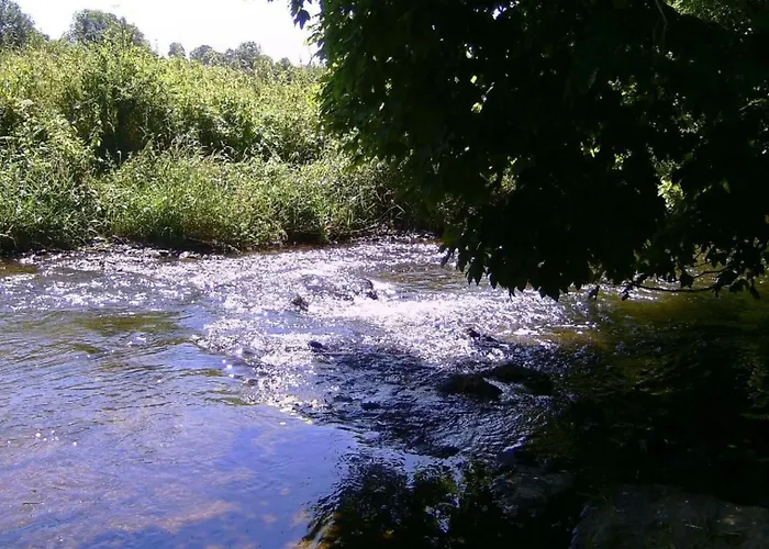 Appartamento Im Hof By Interhome Pittenbach